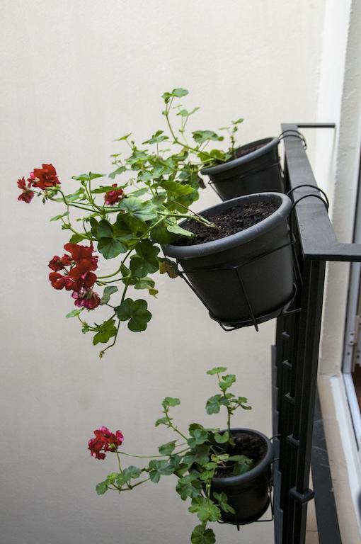 Hostal Callejon Del Agua Sevilla Eksteriør bilde